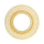 قاب هالوژن خارجی