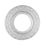 قاب هالوژن نقره ای